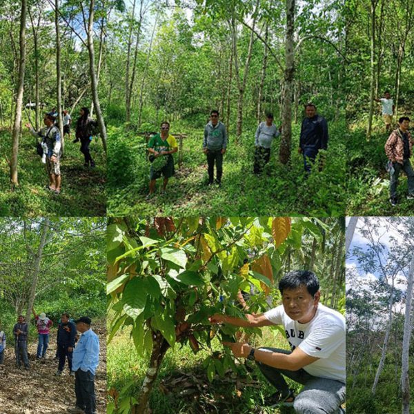 Site Visit on Selected ENGP Plantations in Zamboanga del Sur