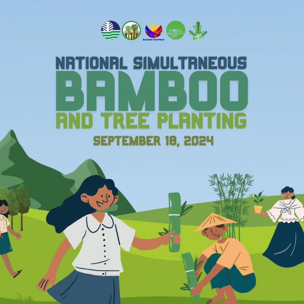 SEPTEMBER 18 IS WORLD BAMBOO DAY!